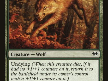 Young Wolf [Dark Ascension] on Sale